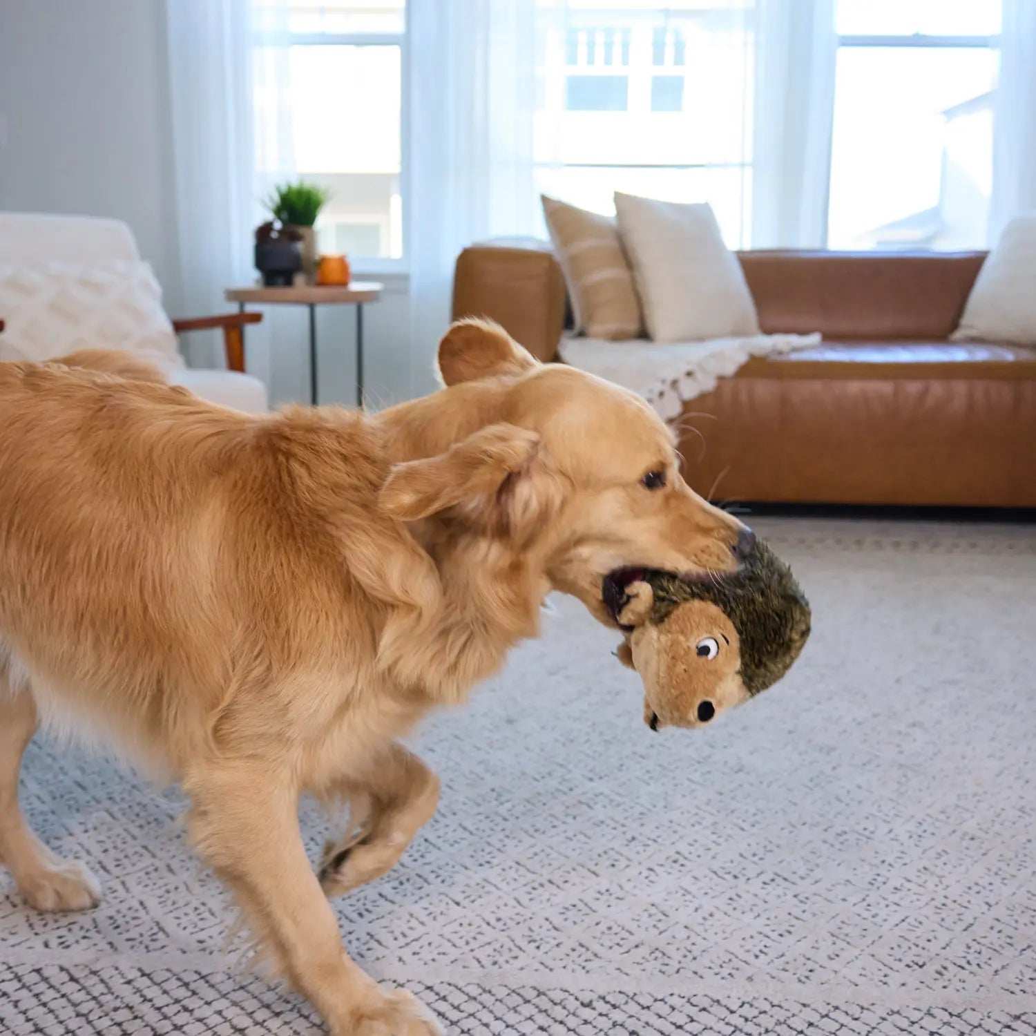 Outward Hound Hedgehog Dog Toy Large