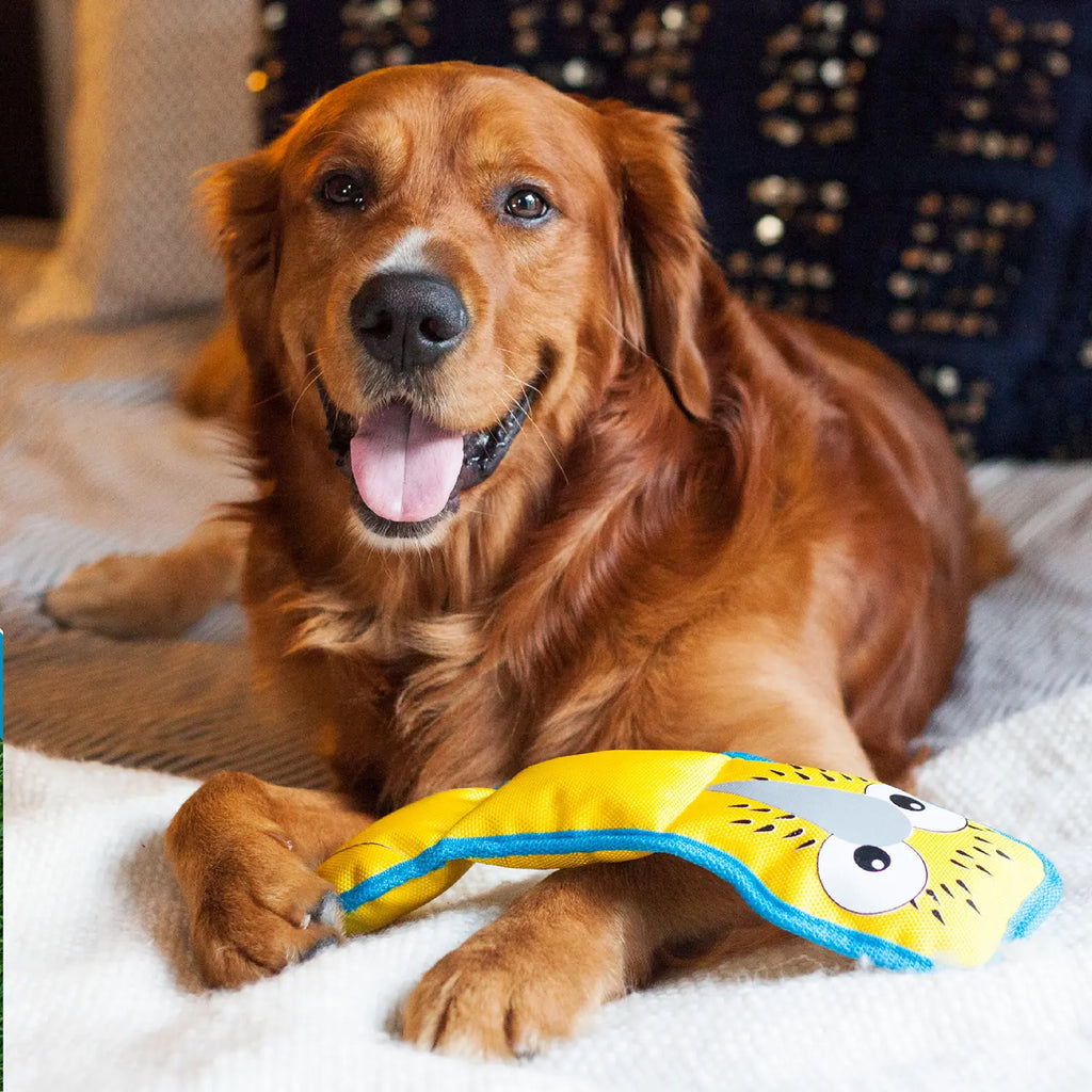 Outward Hound Fire Biterz Turtle Plush Interactive Dog Toy Green Medium