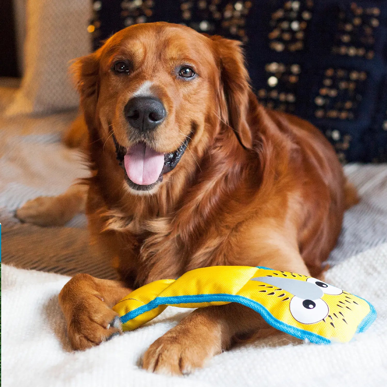 Outward Hound Fire Biterz Turtle Plush Interactive Dog Toy Green Medium