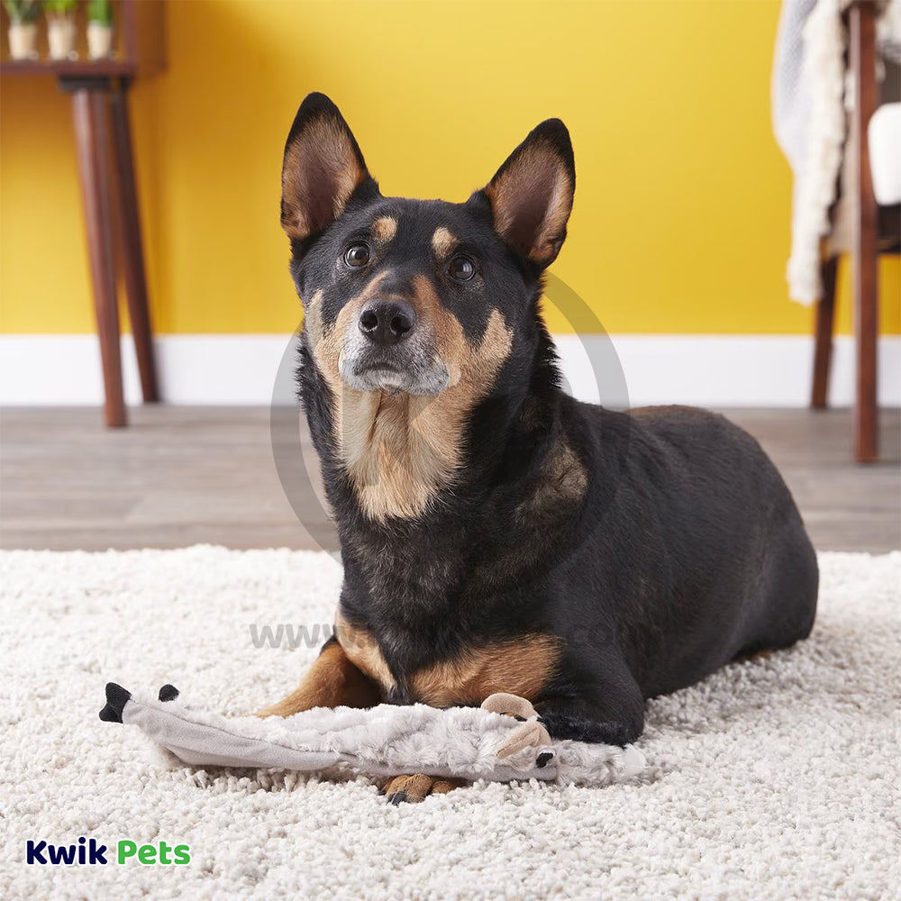 Skinneeez Crinkler Dog Toy Goat 14-in