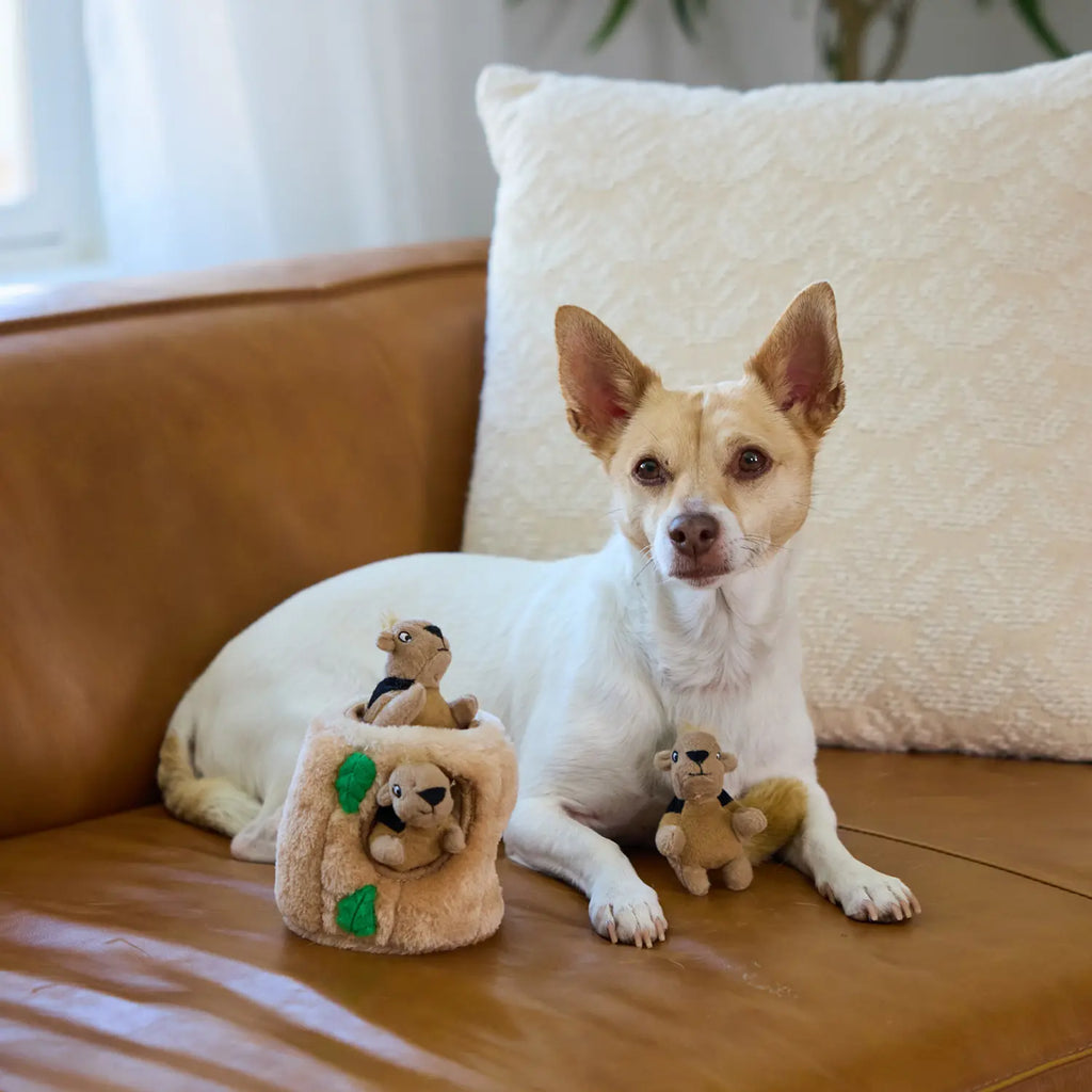 Outward Hound Hide-A-Squirrel Dog Toy Small