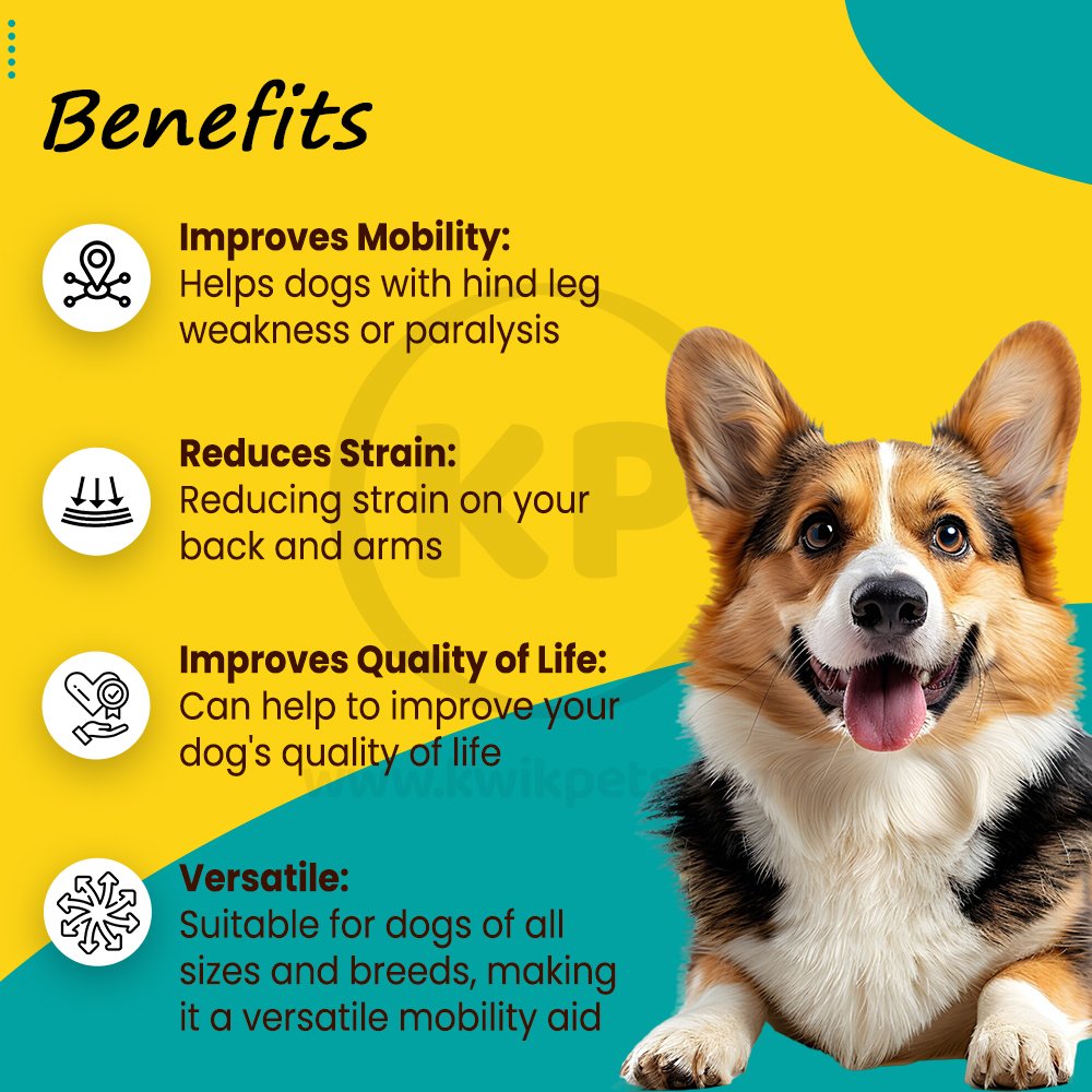 PetSafe CareLift Rear Support Dog Harness Black & Red Small