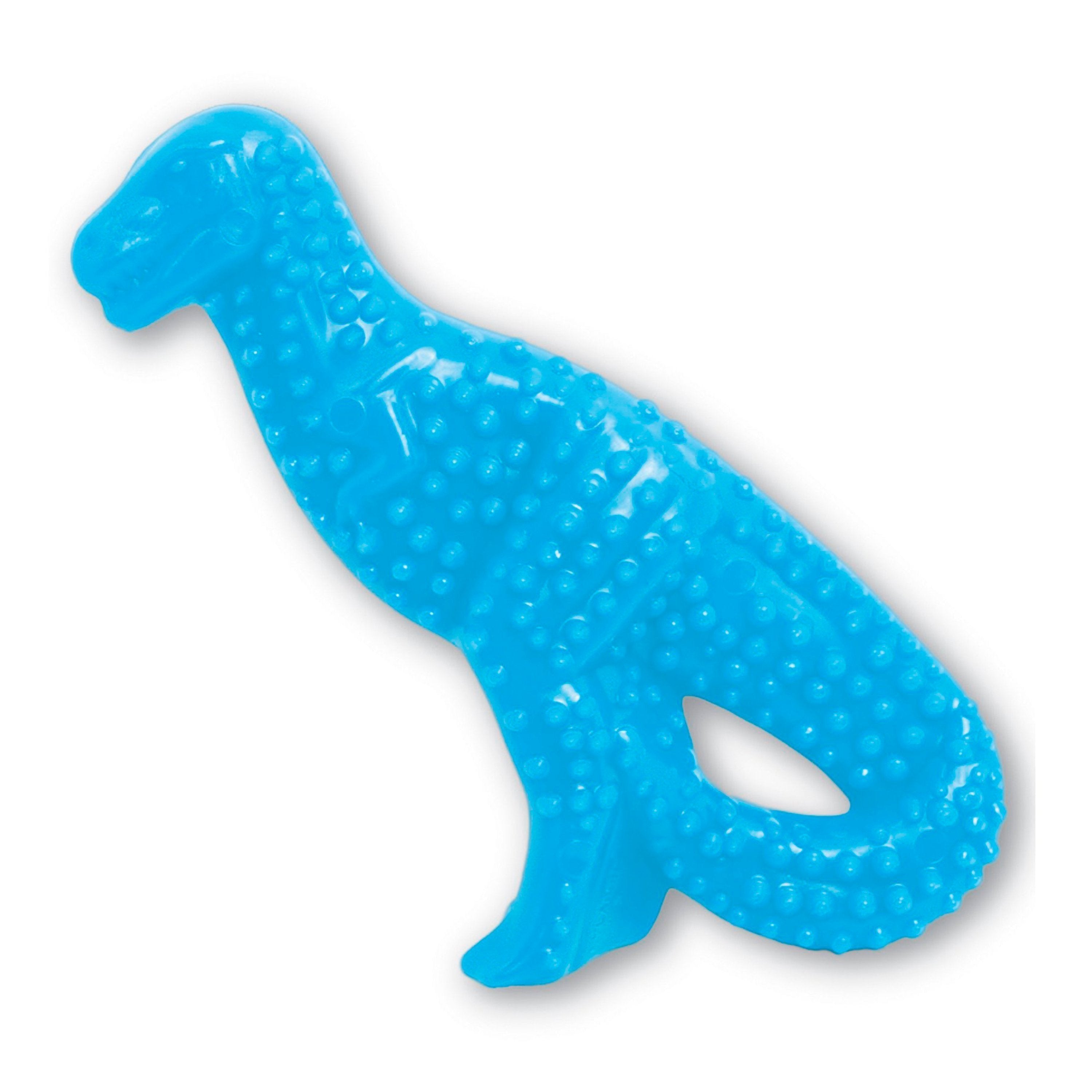 Nylabone Puppy Chew Dental Dinosaur Toy for Teething Chicken Flavor Small/Regular - Up To 25 Ibs
