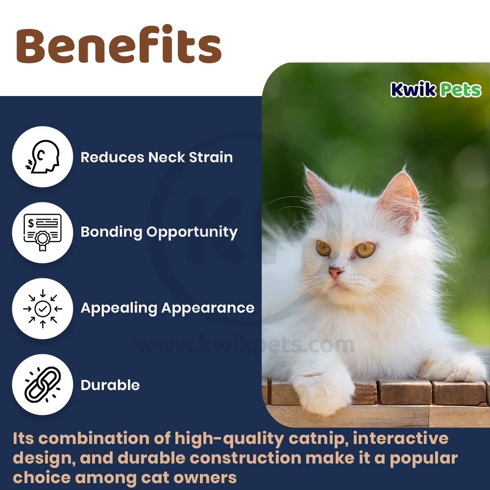 OurPets Cosmic Catnip Teaser Go Fish! Cat Toy