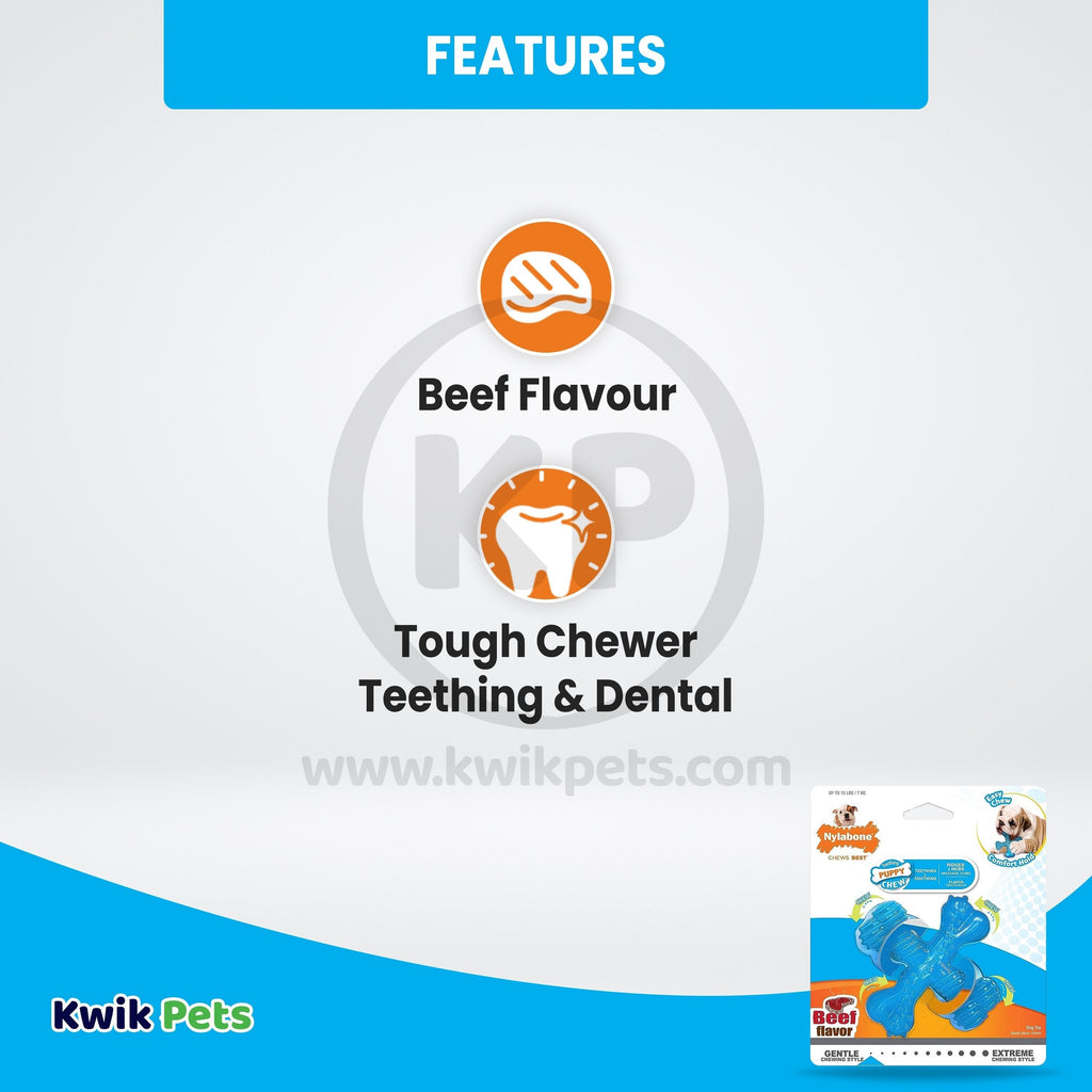 Nylabone Puppy Chew X Bone Chew Toy Beef Small/Regular - Up To 25 Ibs