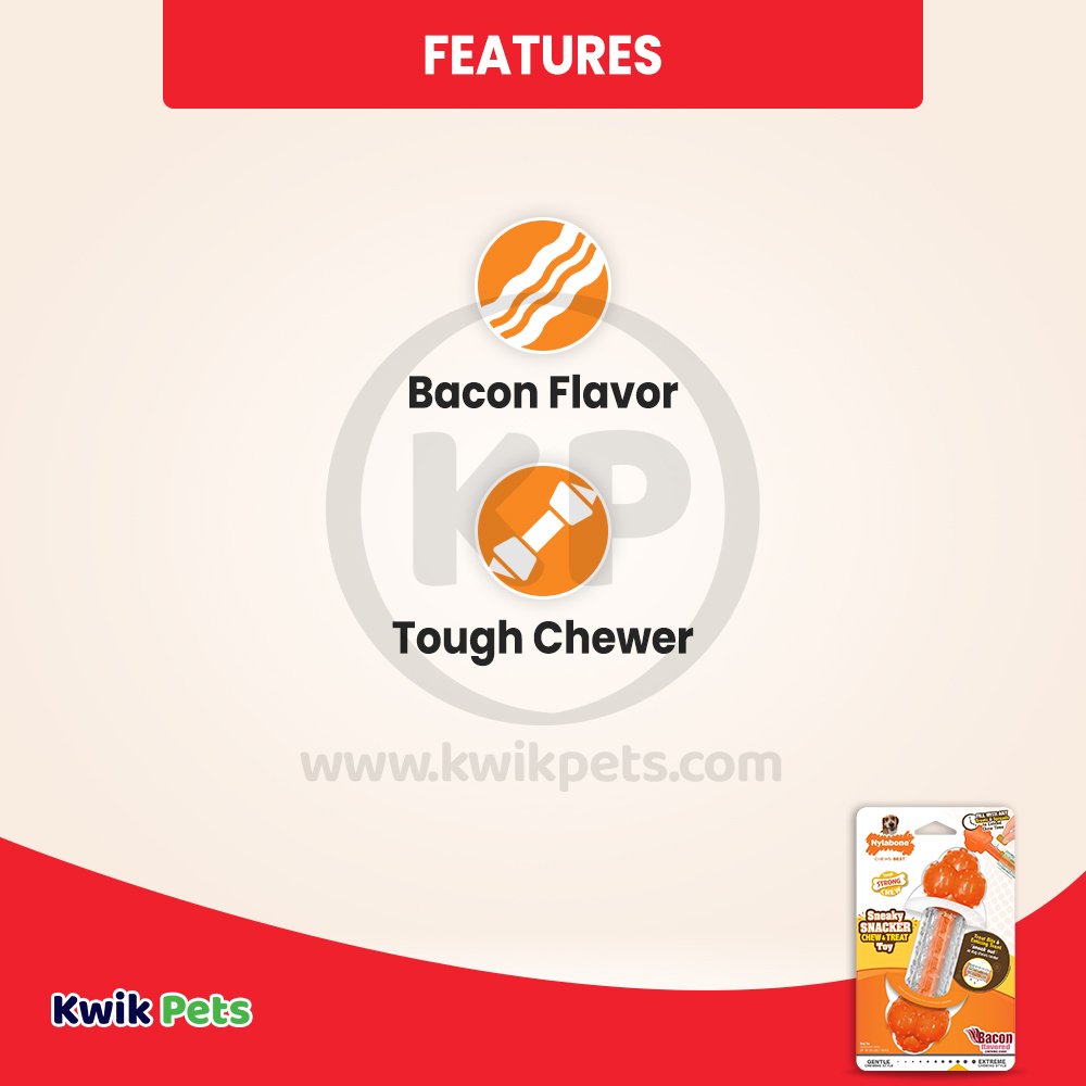 Nylabone Sneaky Snacker Chew & Treat Dog Toy Bacon Flavor Orange Medium/Wolf - Up To 35 lbs