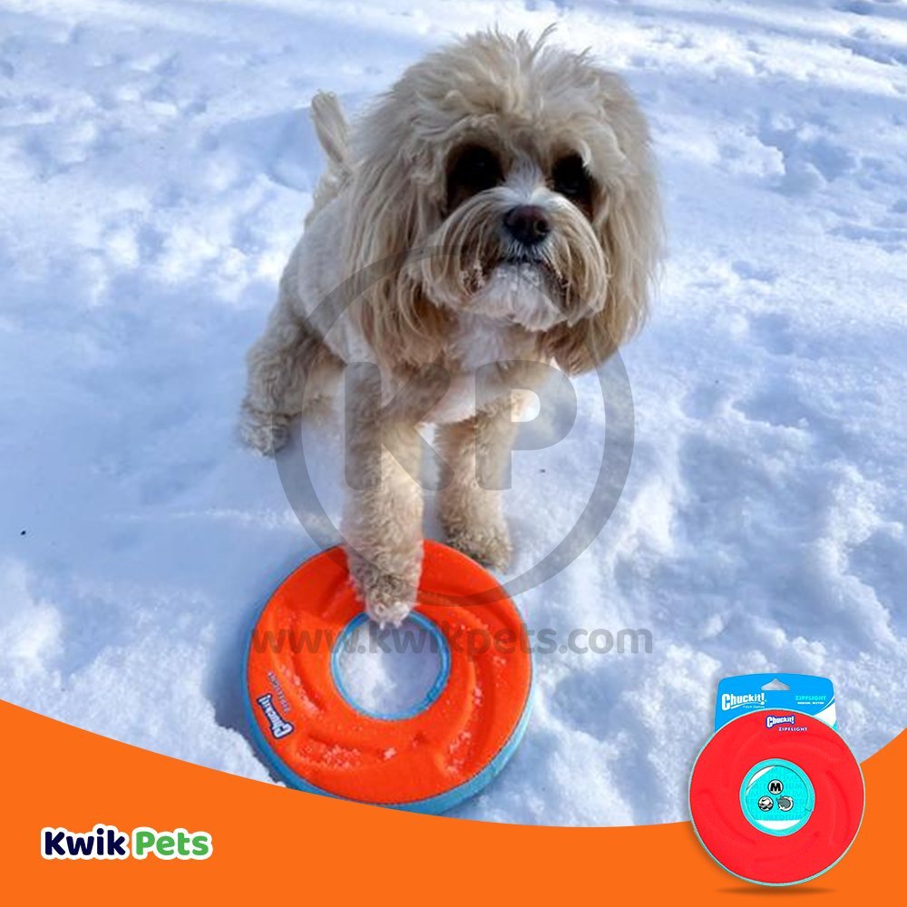 Chuckit! ZipFlight Flying Ring Dog Toy Assorted Medium