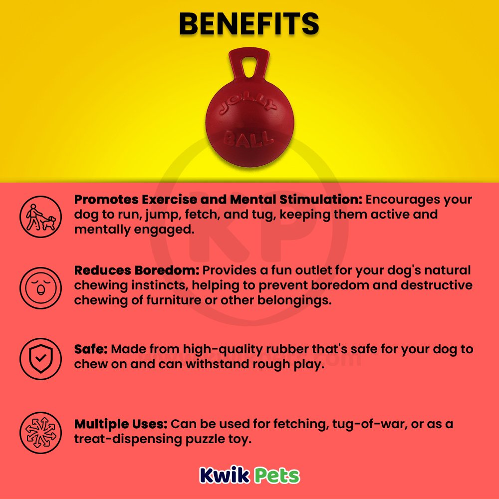 Jolly Pet Tug-n-Toss Mini Dog Toy Red Large 4-in