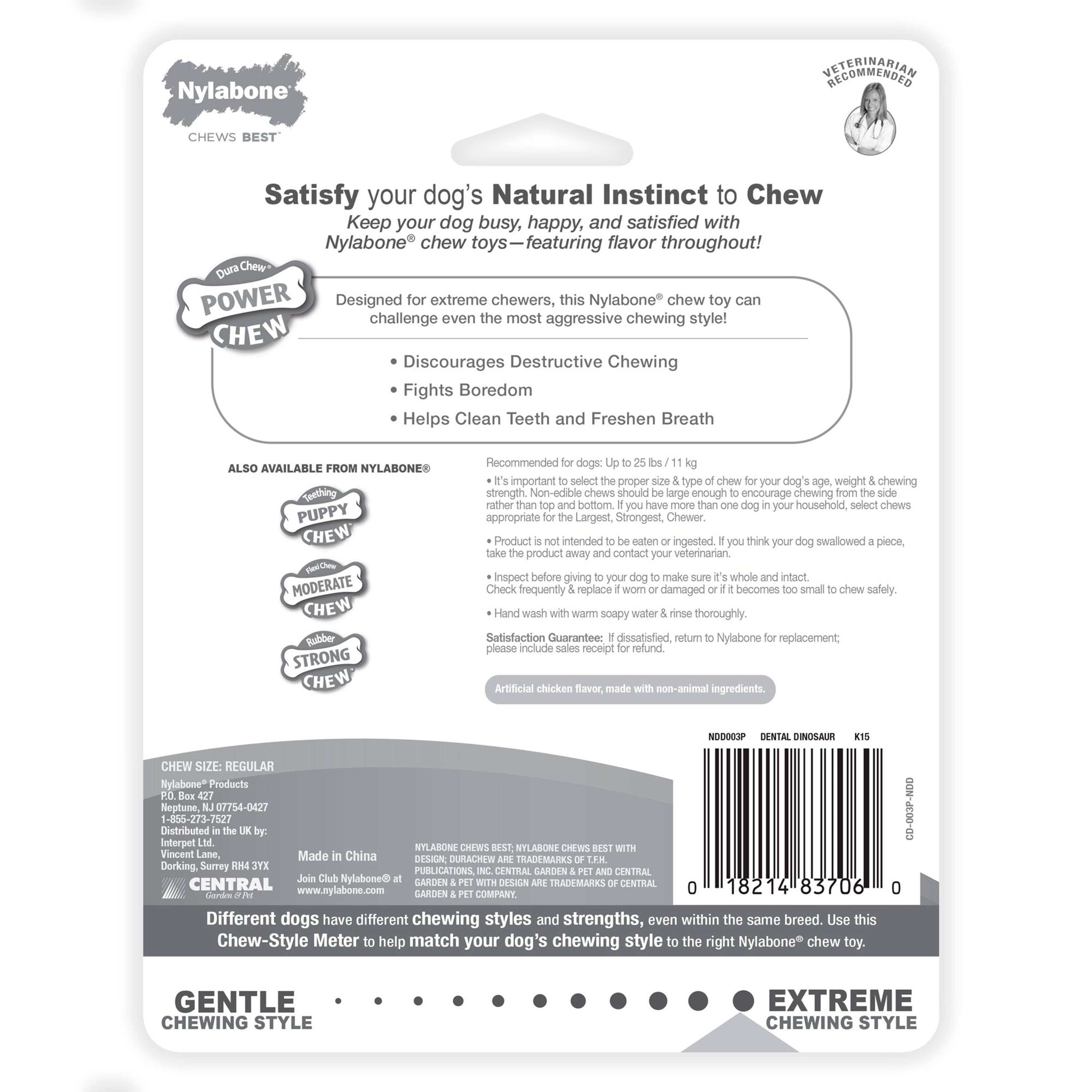 Nylabone Power Chew Dental Dinosaur Dog Toy Chicken White Small/Regular - Up To 25 Ibs