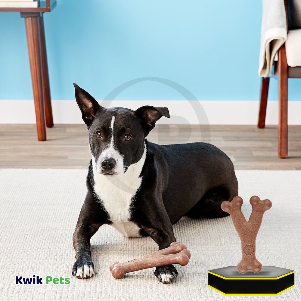 Spot Bam-Bones Wish Bone Dog Chew Toy Bacon Large 7-in