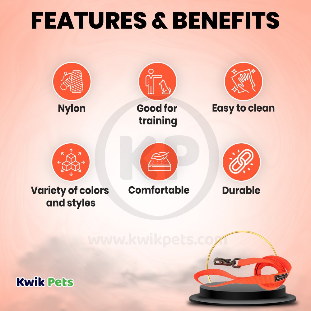 Coastal Water & Woods Dog Leash Safety Orange 6 ft