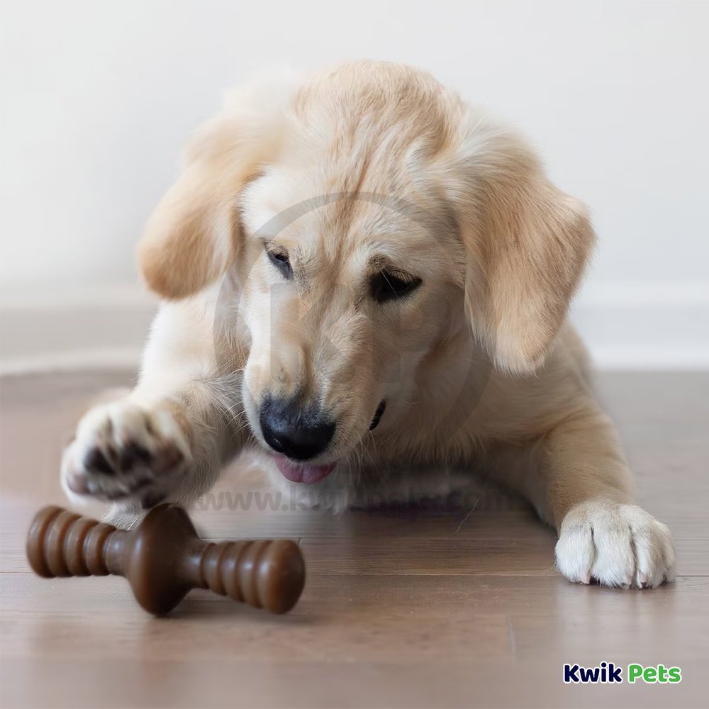 Benebone Zaggler Durable Dog Chew Toy Bacon Small