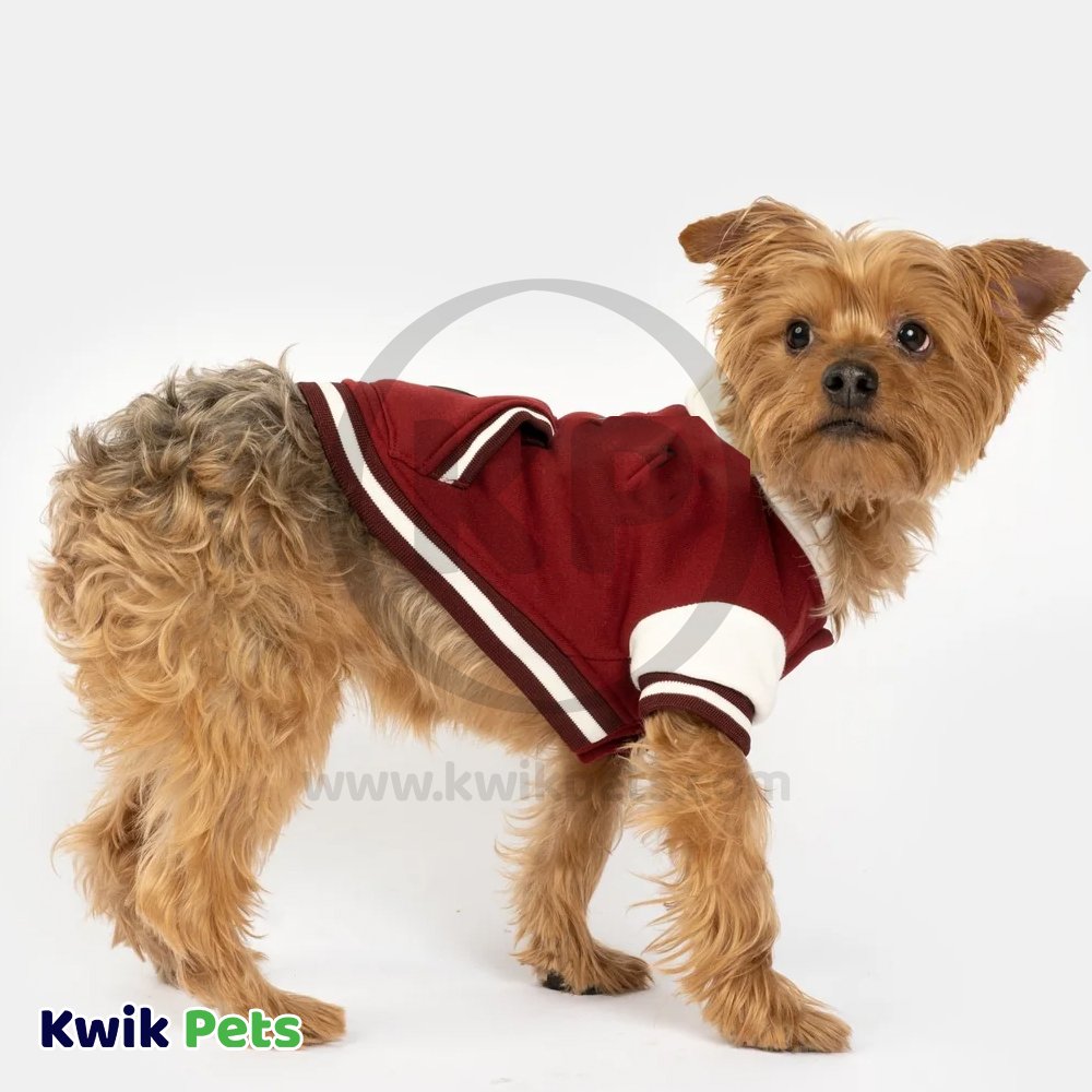 Fashion Pet Varsity Jacket Denim Cranberry XX-small