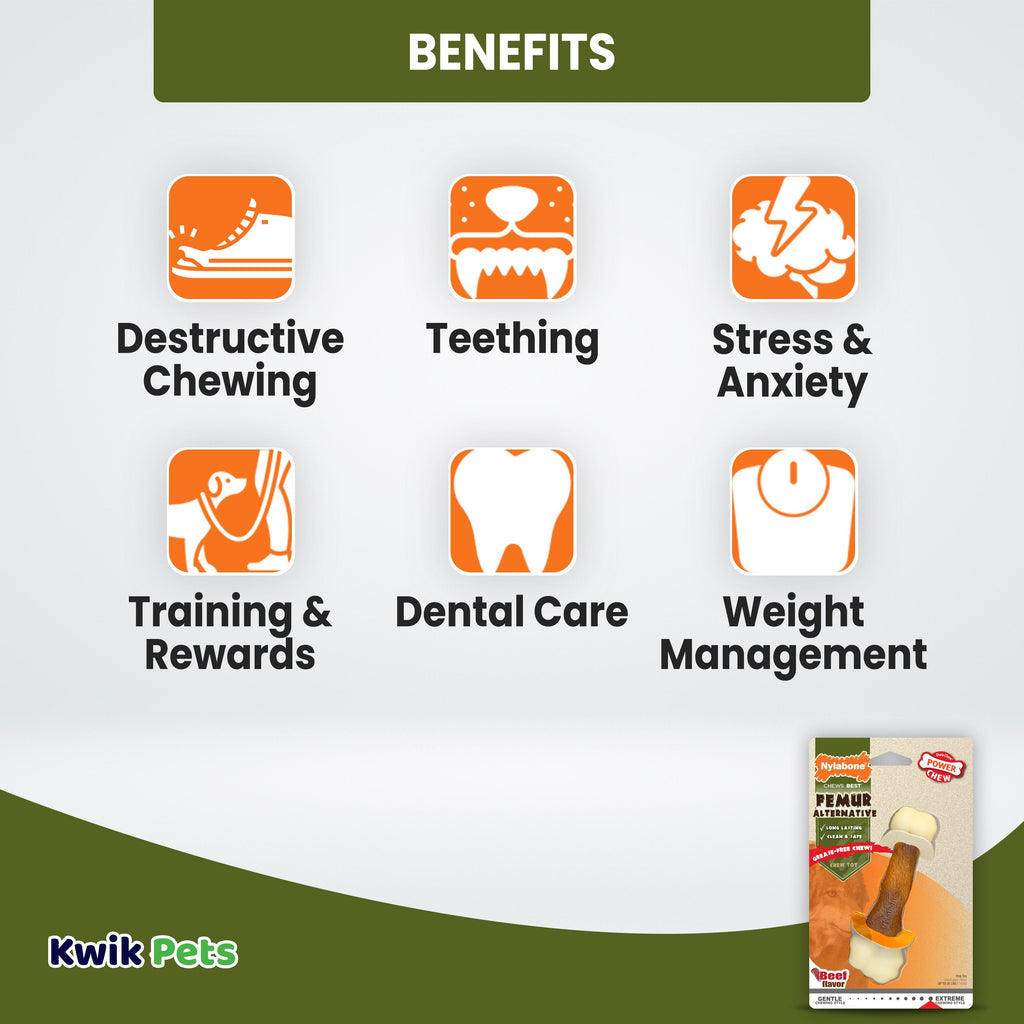 Nylabone Power Chew Femur Bone Alternative Dog Toy Beef Medium/Wolf - Up To 35 lbs