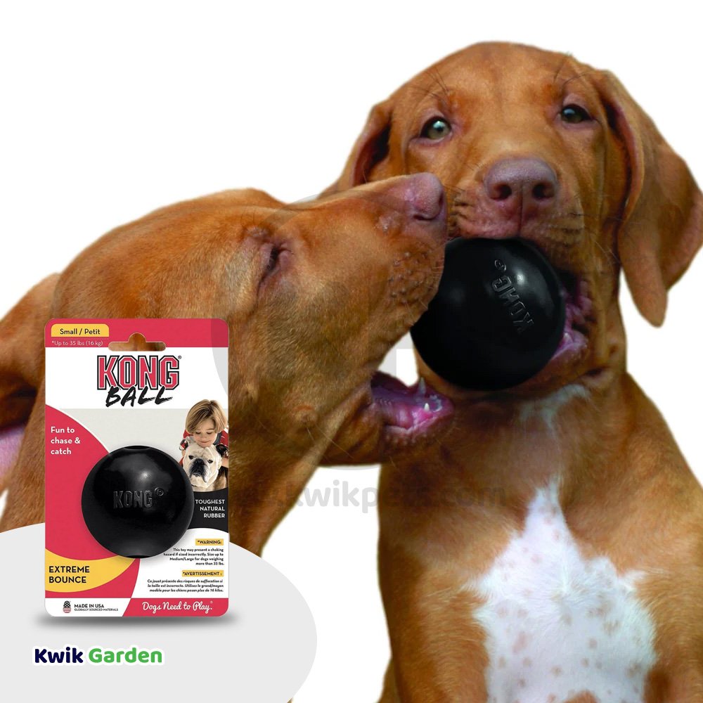KONG Extreme Ball Dog Toy Black Small