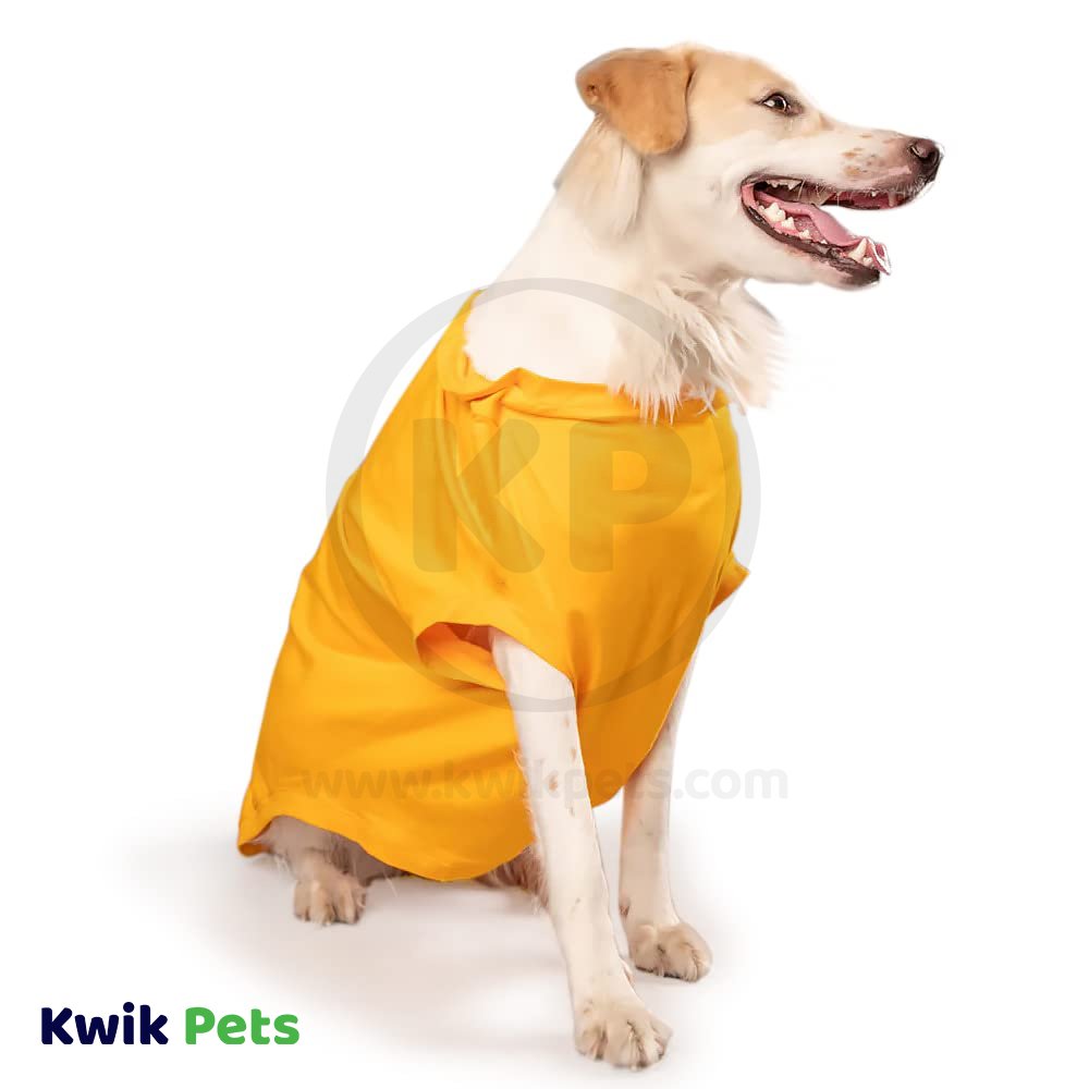 Fashion Pet Cosmo Woof Tee Yellow Medium