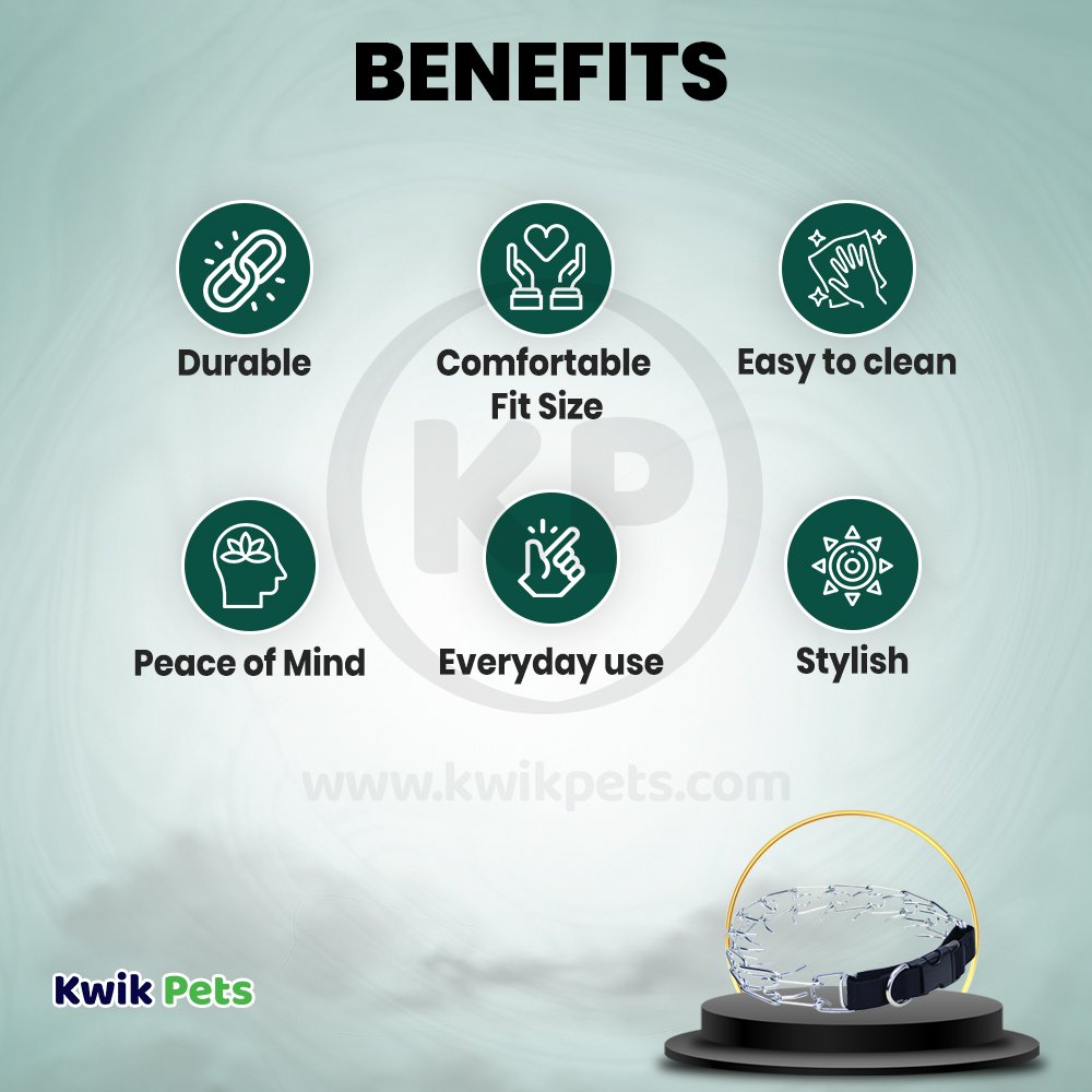 Coastal Titan Easy-On Prong Dog Training Collar with Buckle Black 2 mm x 14 in