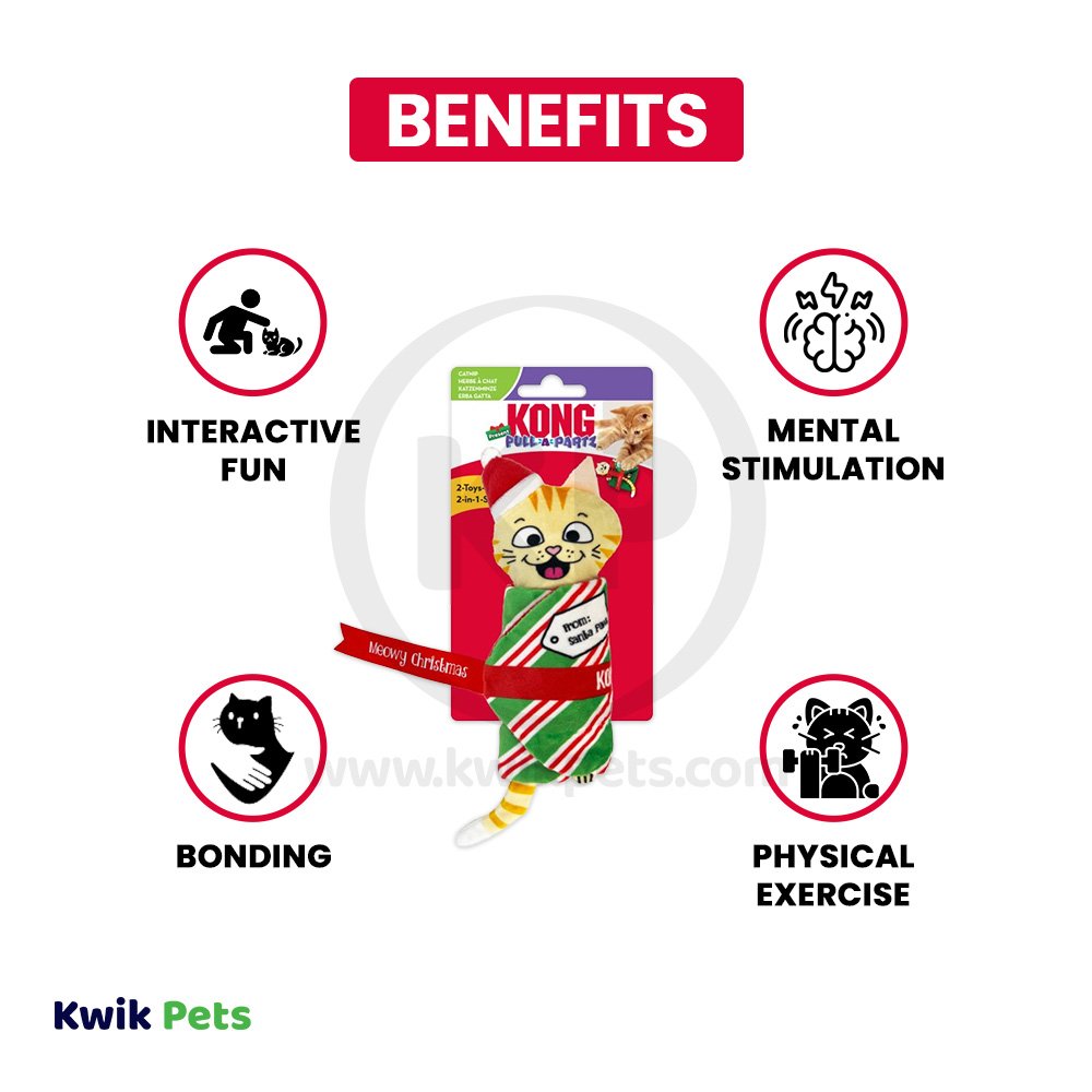 KONG Holiday Pull-A-Partz Cat Toy Present Mouse One Size