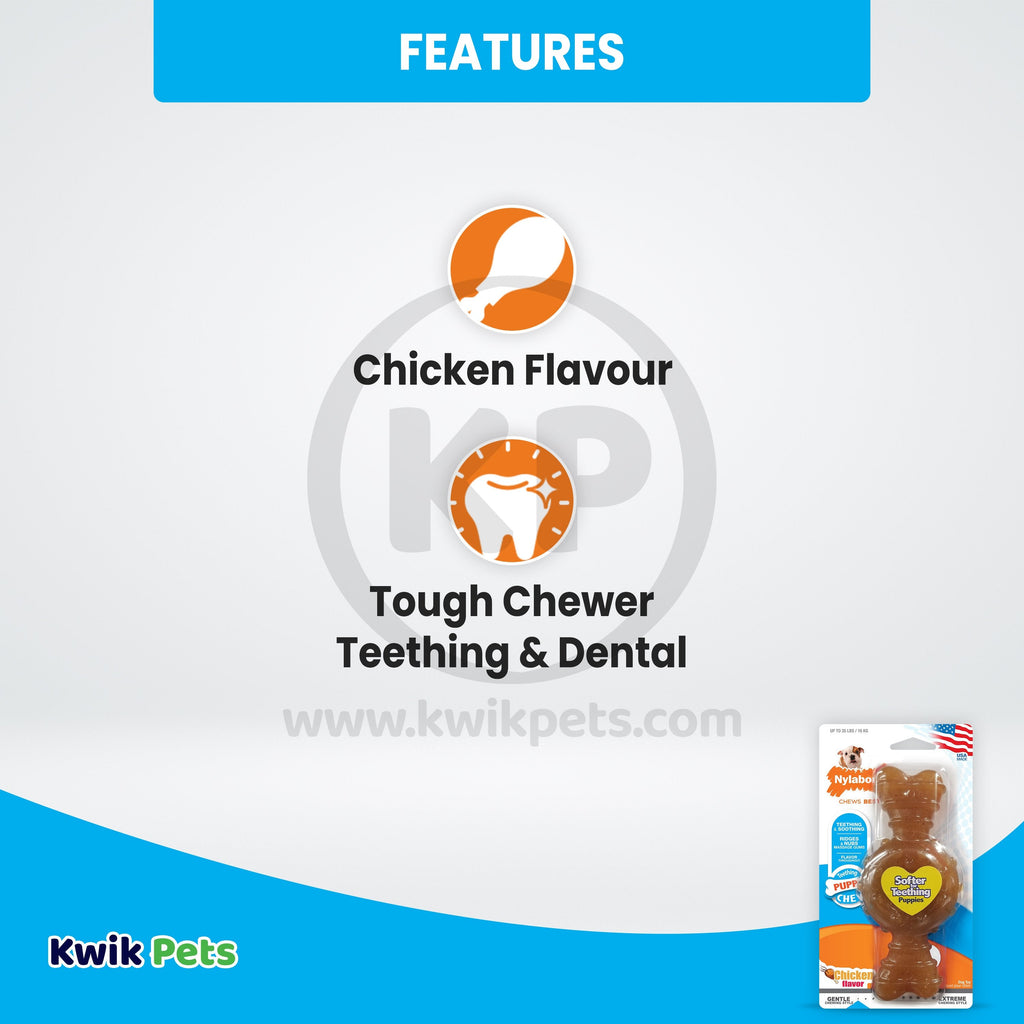 Nylabone Puppy Chew Ring Bone Teething Toy Chicken Medium/Wolf - Up To 35 lbs