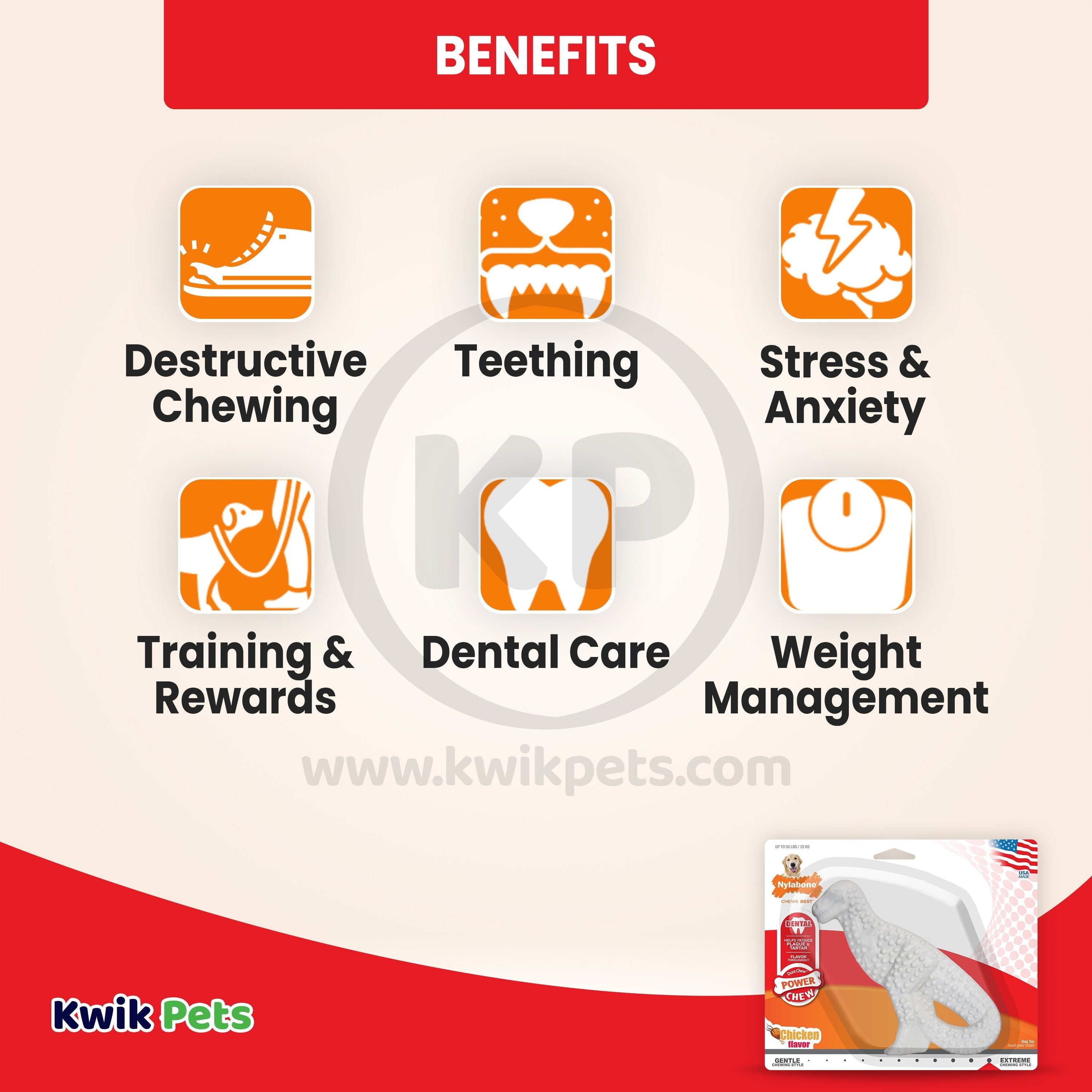 Nylabone Power Chew Dental Dinosaur Dog Toy Chicken White Large/Giant - Up To 50 lbs