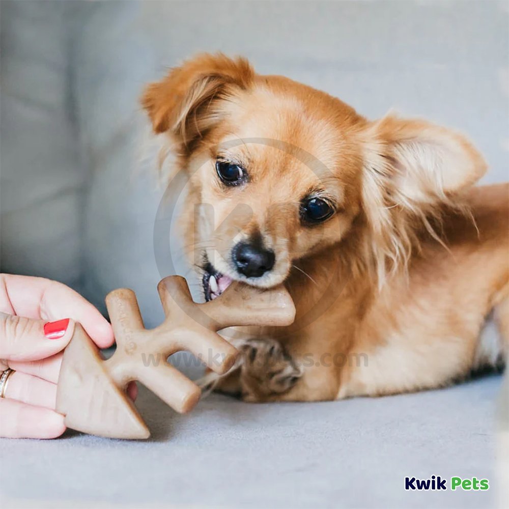 Benebone Jack Salmon Fishbone Dog Chew Toy Tiny 2 Count