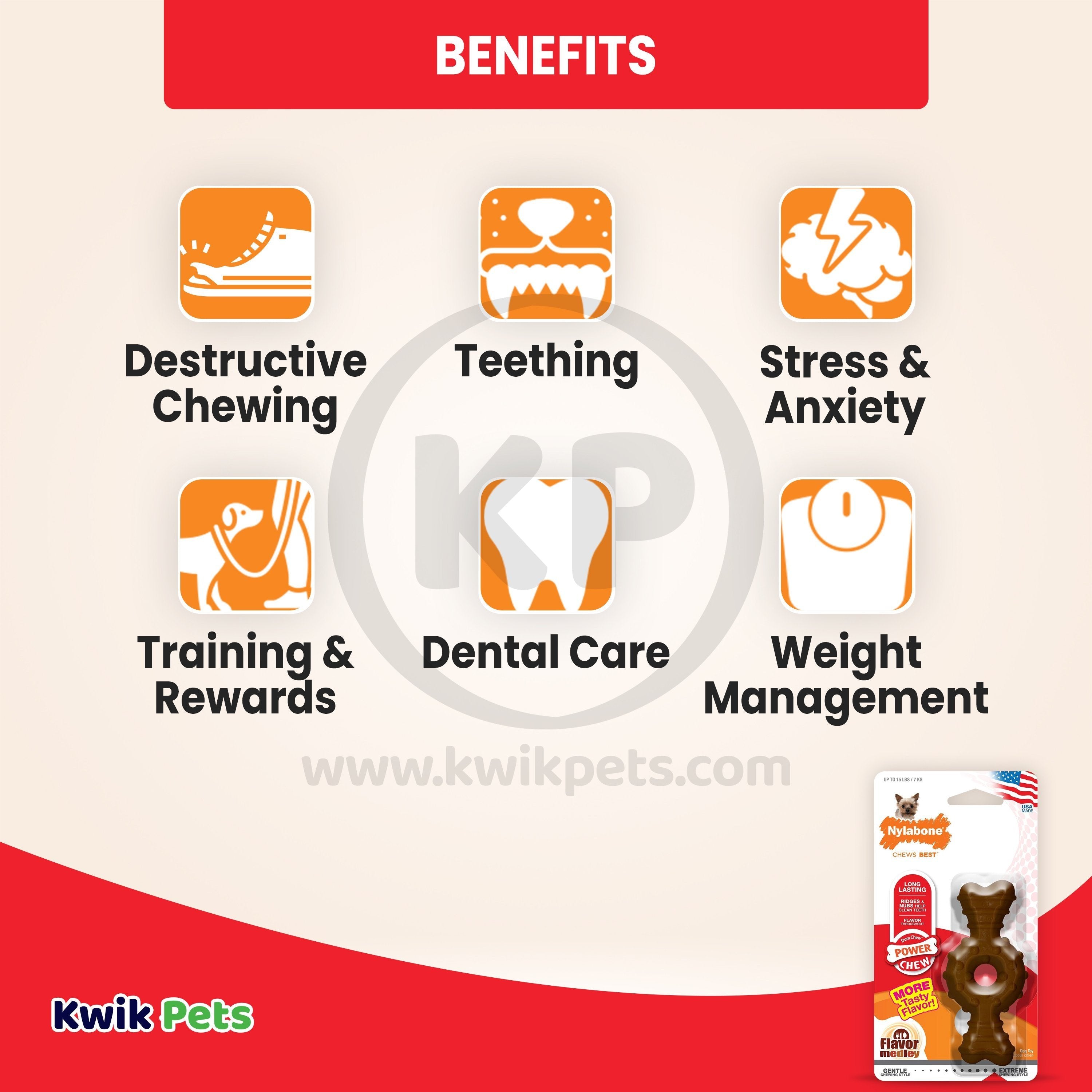 Nylabone Power Chew Ring Bone Dog Toy Medley Flavor XS/Petite - Up To 15 lbs