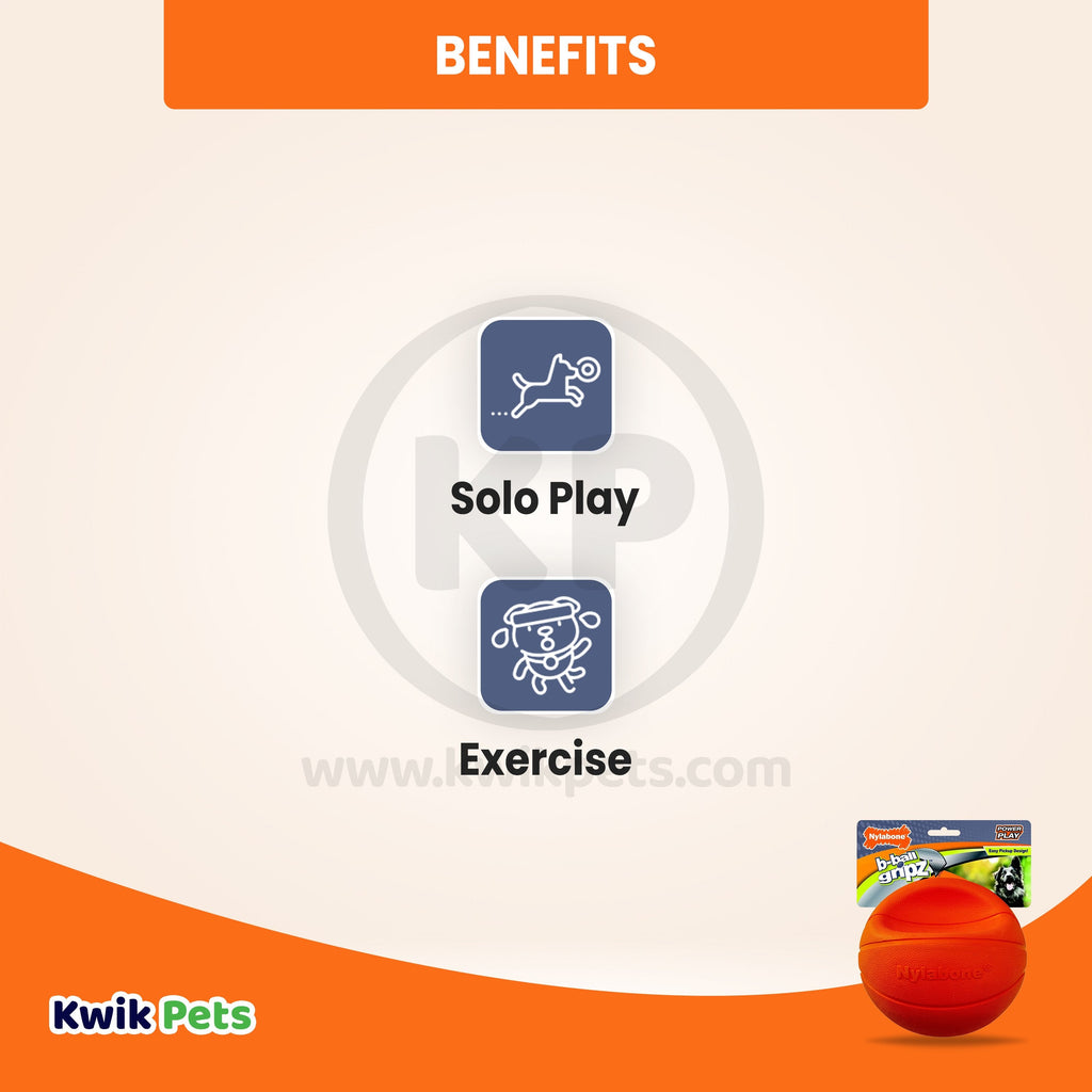 Nylabone Power Play Basketball B-Ball Gripz Dog Toy Large/Giant - Up To 50 lbs 6.5-in