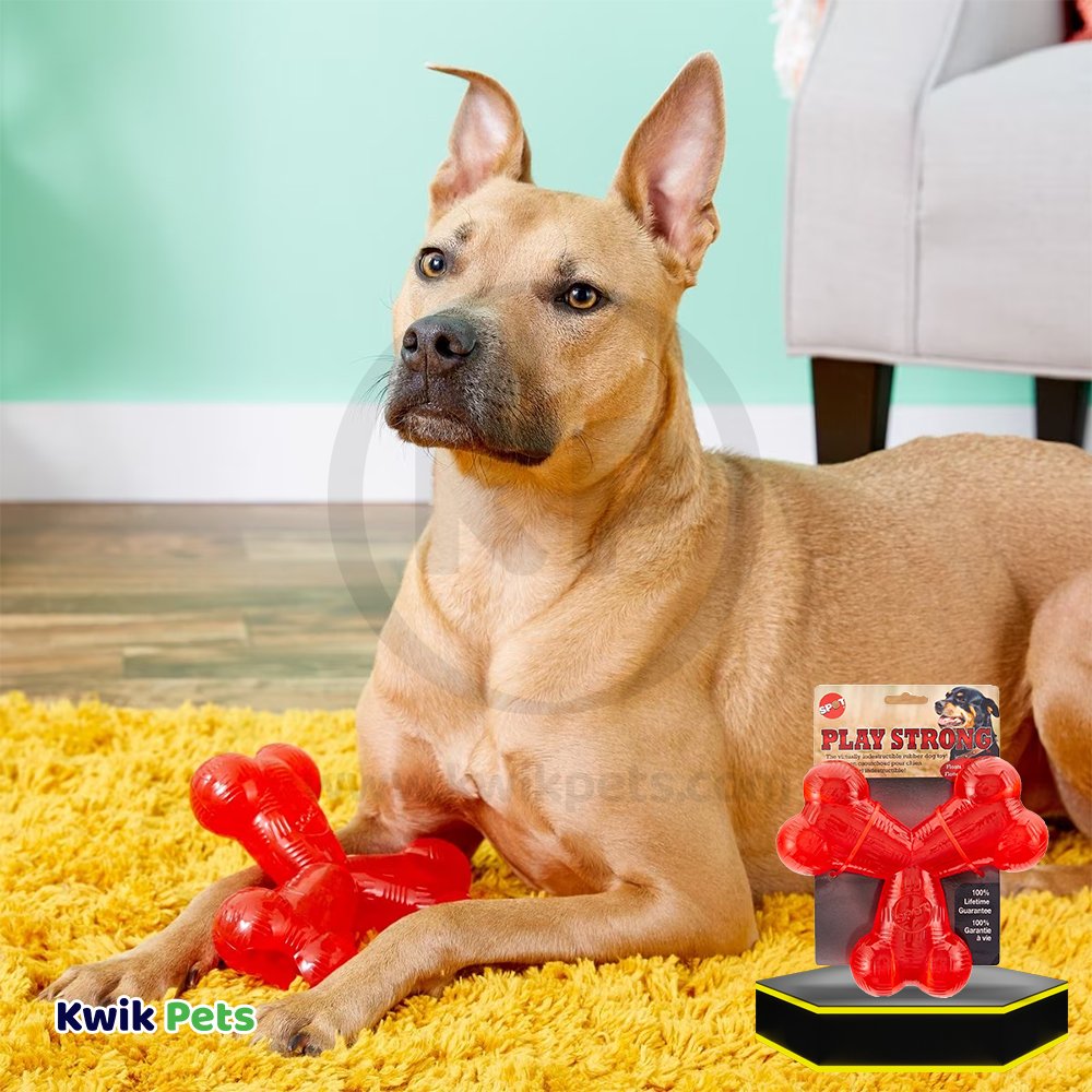Spot Play Strong Dog Toy Trident 6-in
