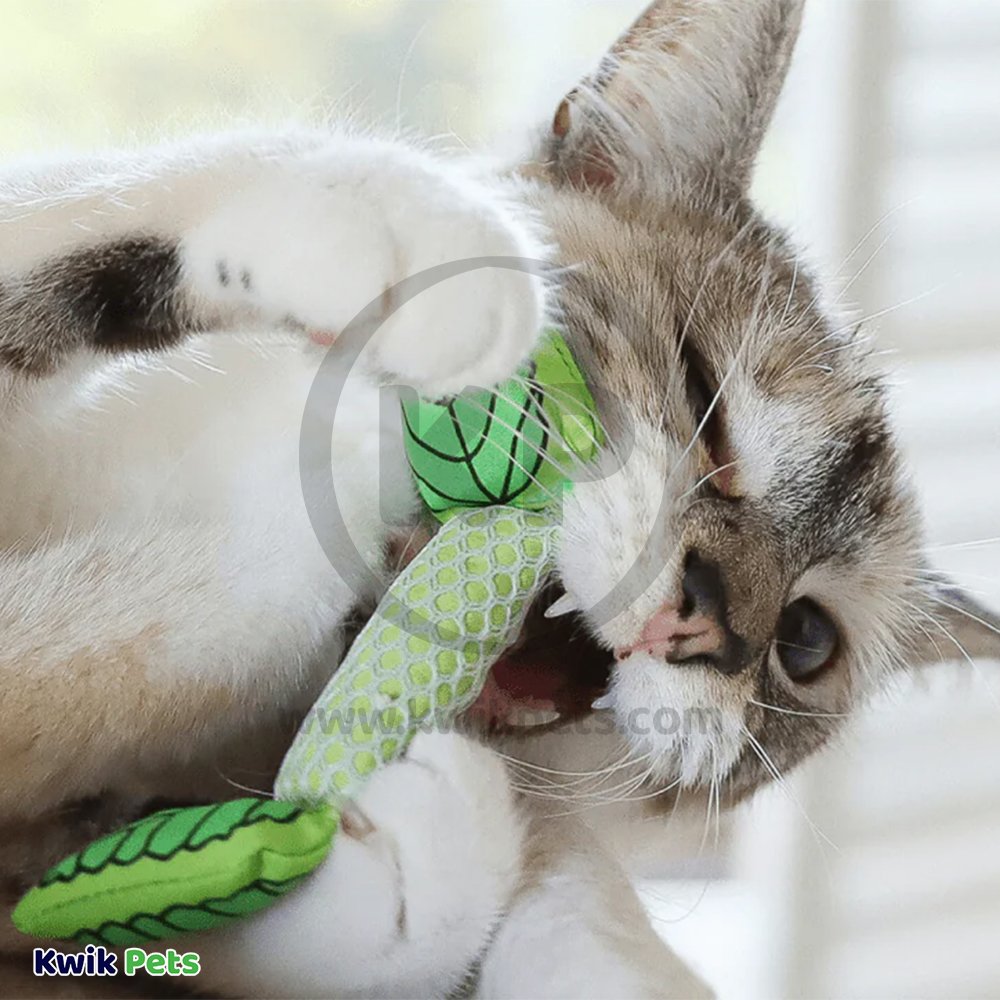 Petstages Fresh Breath Mint Stick Cat Toy One Size