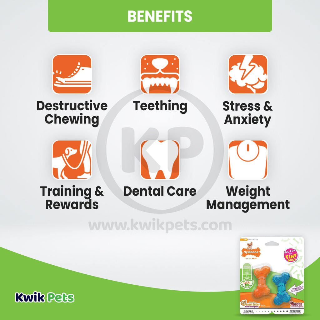 Nylabone Moderate FlexiChew Bone Dog Toy Peanut Butter & Bacon XXS/Tiny - Up To 8 lbs 2 Count