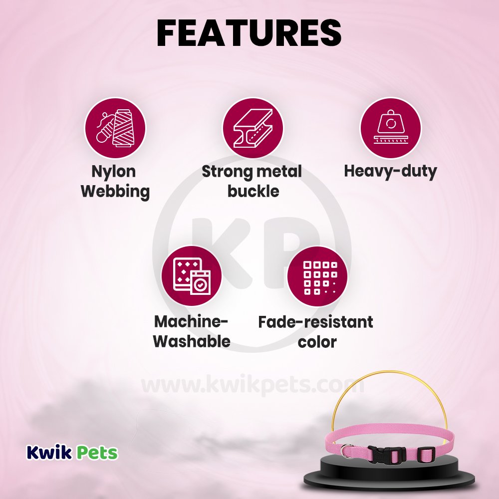 Coastal Adjustable Nylon Dog Collar with Plastic Buckle Bright Pink 5/8 in X 10-14 in