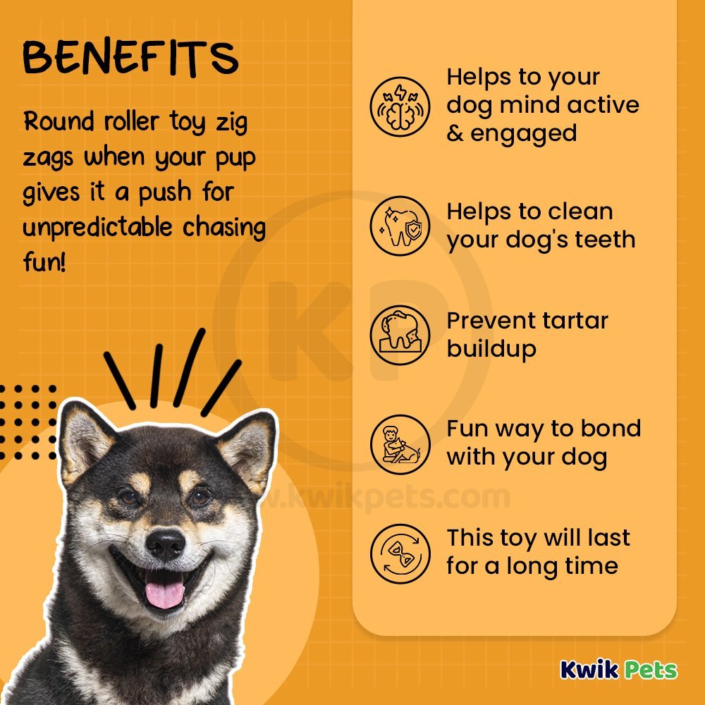 Benebone Zaggler Durable Dog Chew Toy Bacon Small