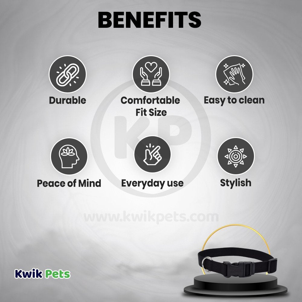 Coastal Adjustable Nylon Dog Collar with Plastic Buckle Bright Pink 1 in X 18-26 in