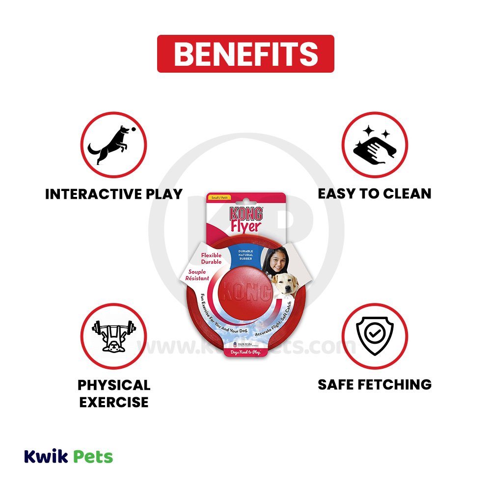 KONG Puppy Flyer Dog Toy Assorted Small