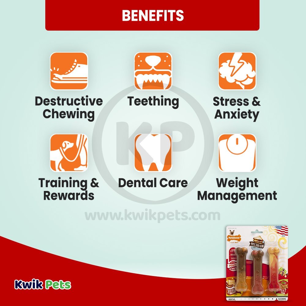 Nylabone Flavor Frenzy Power Chew Dog Toy Triple Pack Pancakes & Sausage, Roast Beef Club, & Lasagna XS/Petite - Up To 15 lbs 3 Count