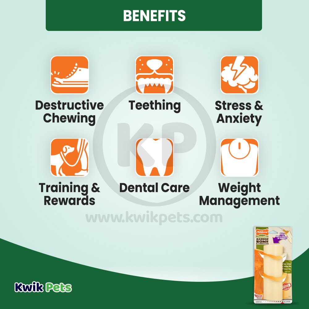 Nylabone Power Chew Giant Marrow Bone Alternative Dog Toy Beef Large/Giant - Up To 50 lbs