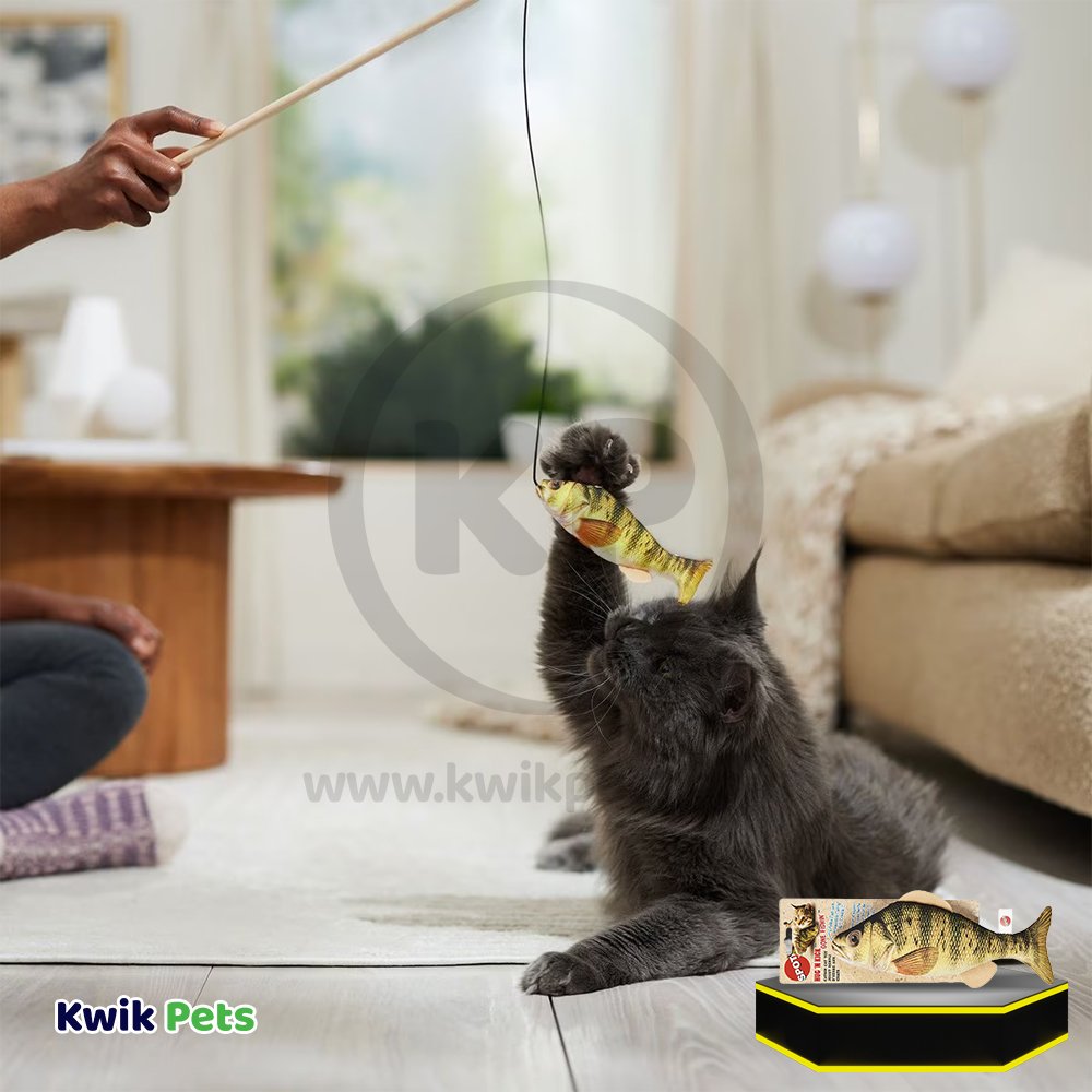 Spot Gone Fishin' Teaser Wand Cat Toy with Catnip Assorted