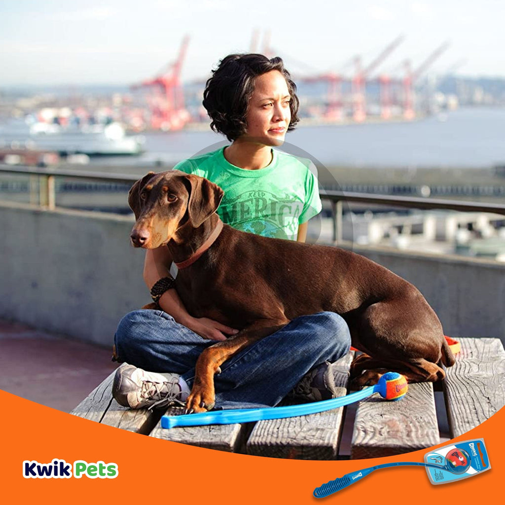 Chuckit! Junior Launcher Dog Toy Assorted Medium 18-in