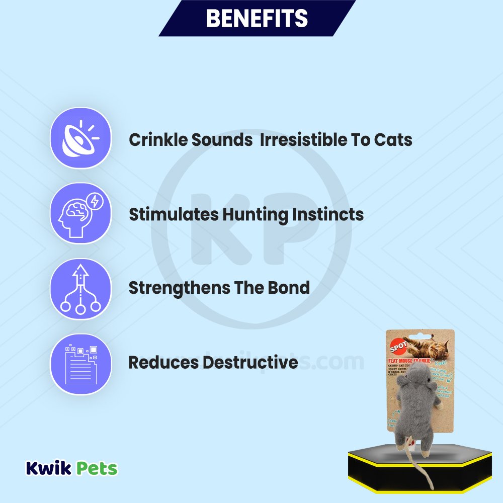 Spot Flat Mouse Frankie Cat Toy with Catnip Assorted 5.5-in