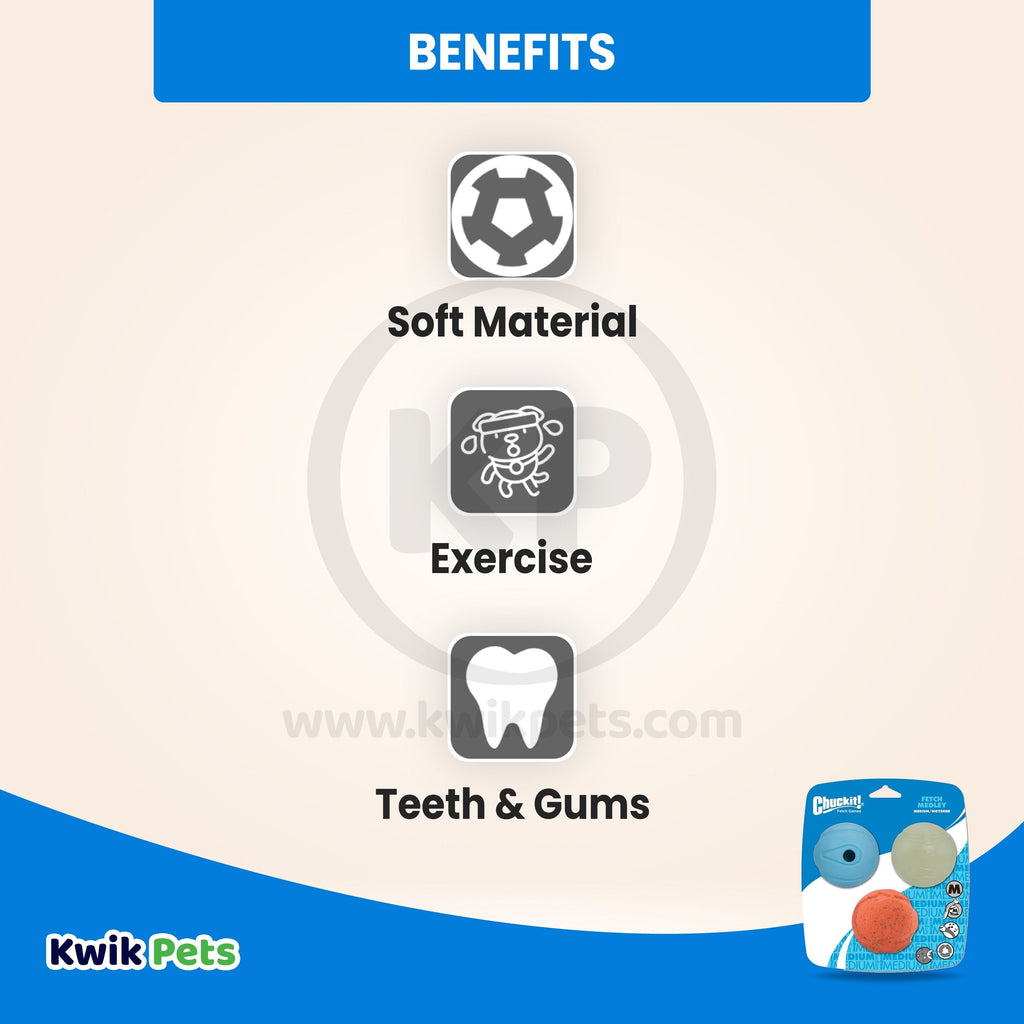 Chuckit! Fetch Medley Balls Dog Toy 2 Multicolor Medium 3 Count