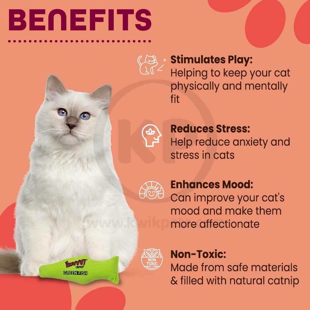 Yeowww! Fish Catnip Cat Toy Green 7-in