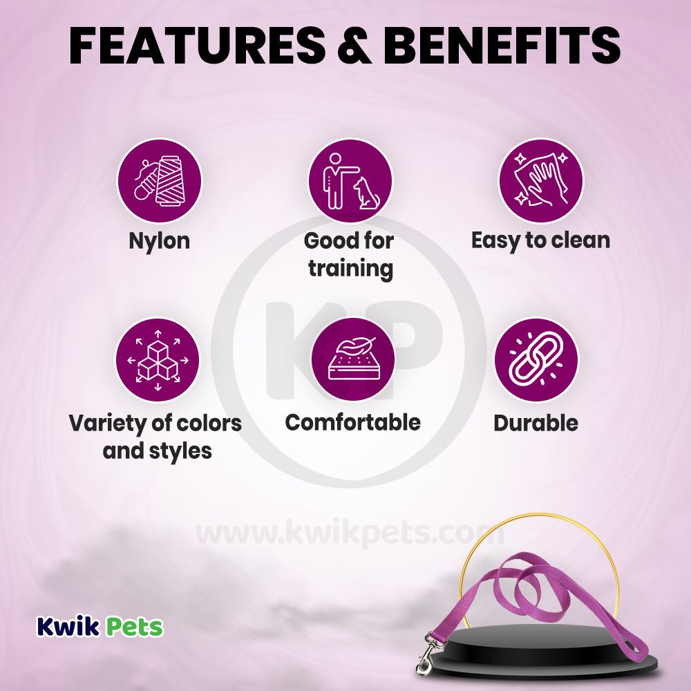 Coastal Single-Ply Nylon Dog Leash Orchid 1 in X 6 ft