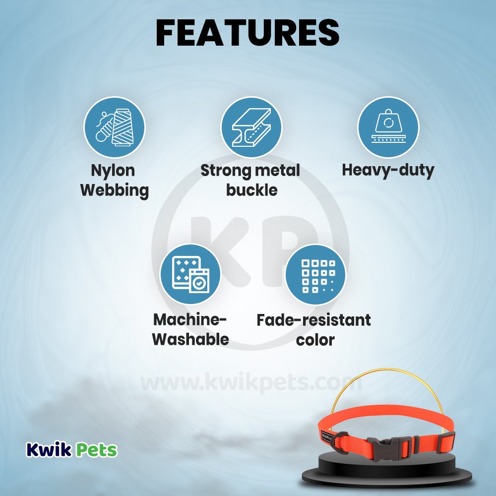 Coastal Water & Woods Adjustable Dog Collar Safety Orange 18-26 in