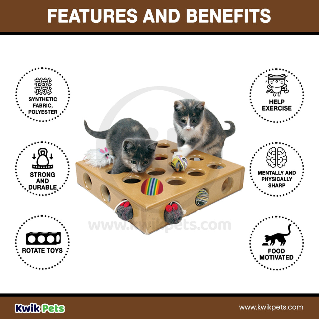 Pioneer Pet SmartCat Peek-a-Prize Cat Toy Box