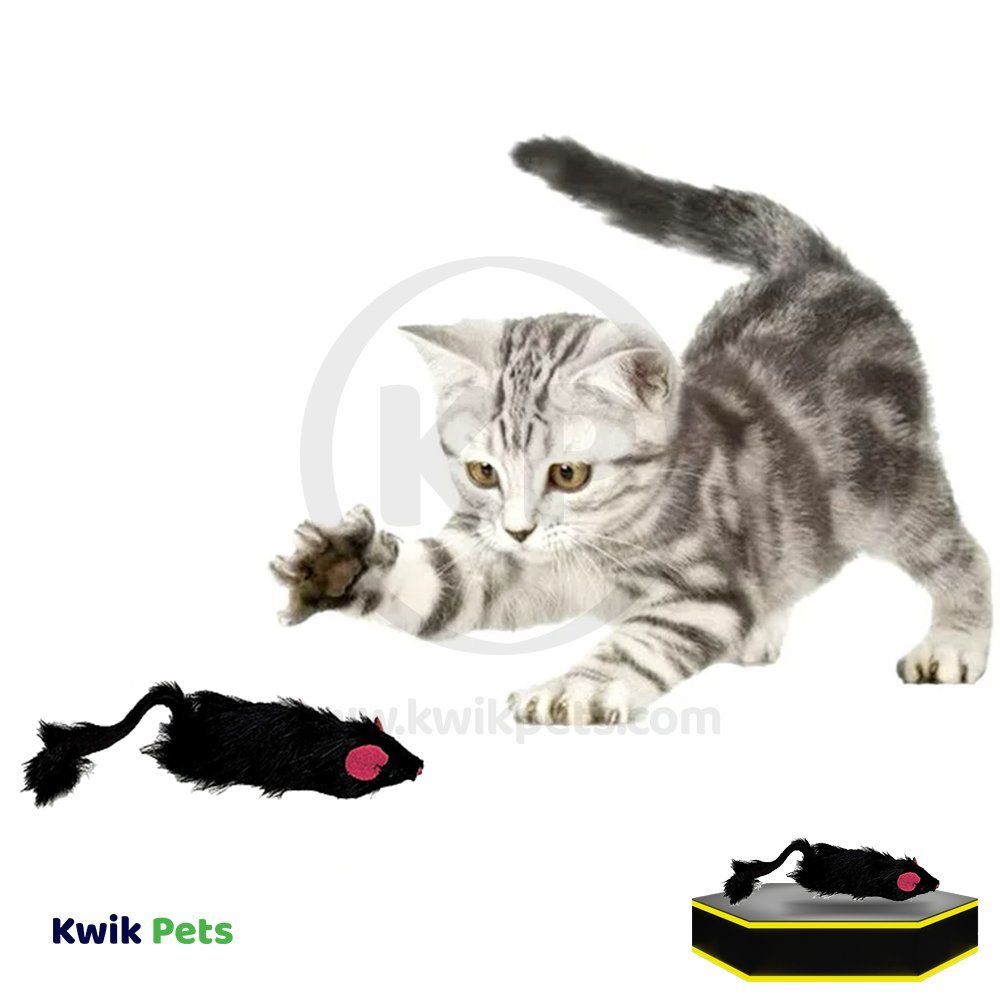 Spot Shaggy Plush Ferret Rattle & Catnip Cat Toy Black Large 11-in