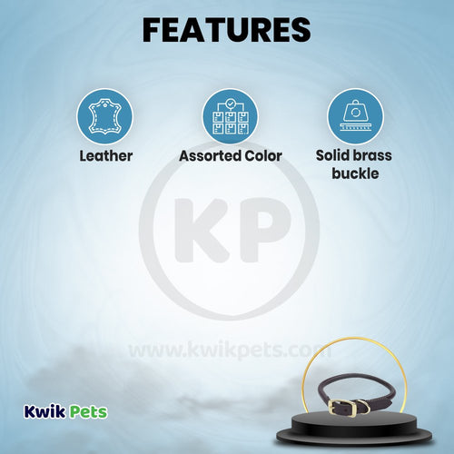 Coastal Circle T Latigo Leather Round Dog Collar Brown 3/4 in X 20 in