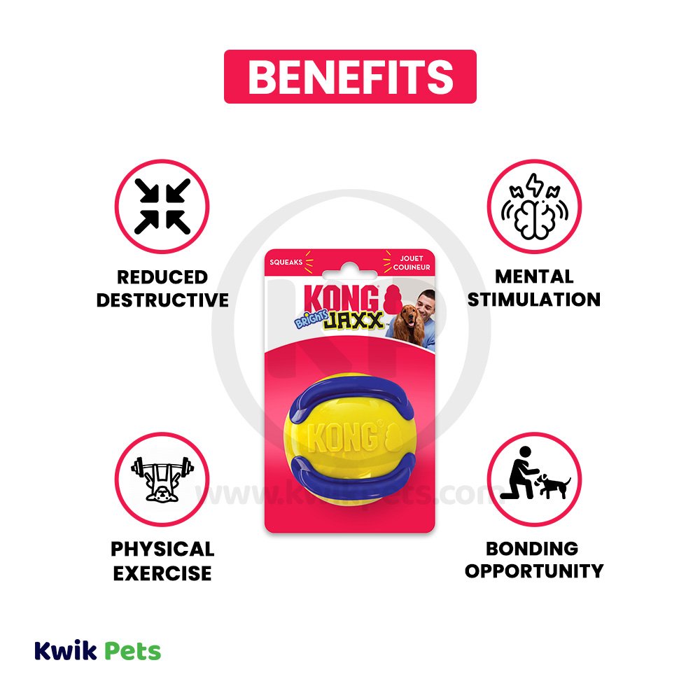 KONG Jaxx Brights Ball Dog Toy Red/Blue Medium