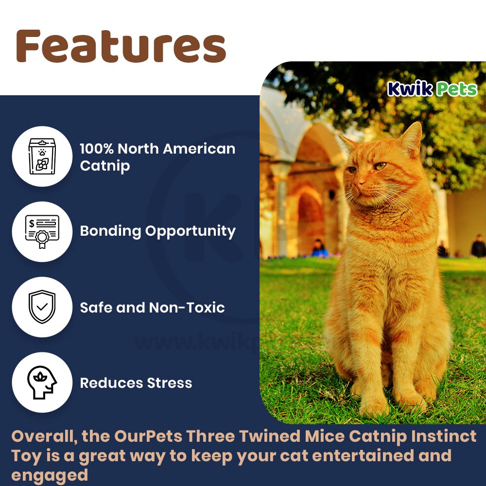 OurPets Play-N-Squeak Real Mouse Shake y'r Tail Feather Cat Toy