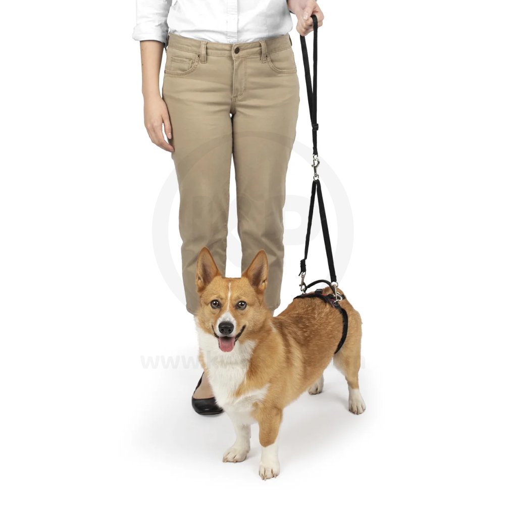 PetSafe CareLift Rear Support Dog Harness Black & Red Small