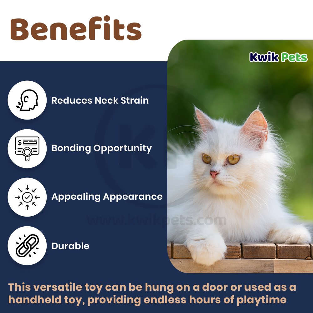 OurPets Door Hanger Batting Practice Catnip Toy Brown One Size